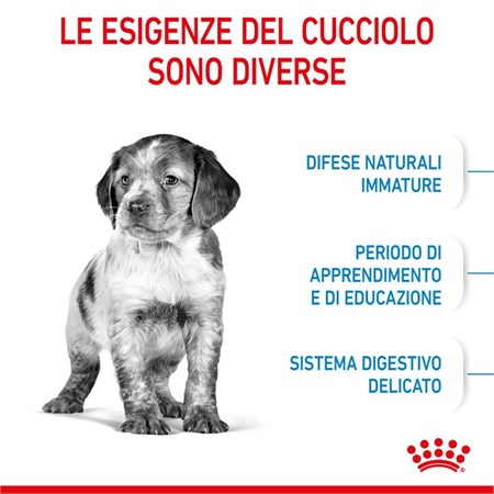 Royal Canin Medium Puppy 15 kg in Cani