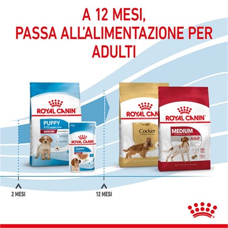 Royal Canin Medium Puppy 15 kg in Cani