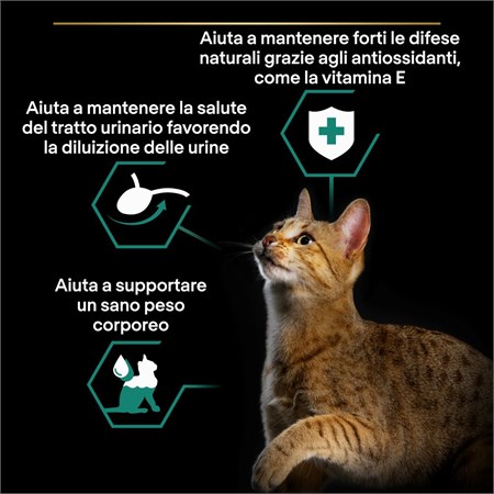 Purina Pro Plan Cat Adult Sterilised Multipack 10X85 Gr Bustine in Salsa Con Manzo in Gatti