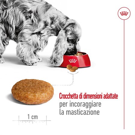 Royal Canin Medium Adult 15 kg in Cani