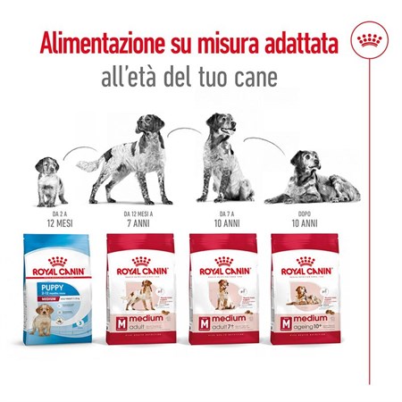 Royal Canin Medium Adult 15 kg in Cani