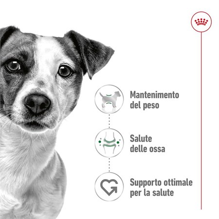 Royal Canin Mini Adult kg 4 in Cani