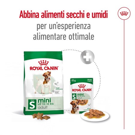 Royal Canin Mini Adult kg 4 in Cani
