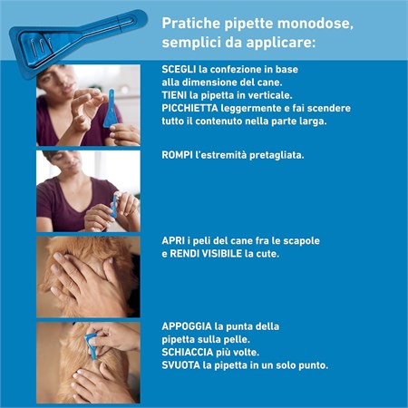 Frontline SPOT ON Taglia M 10-20 Kg - Antiparassitario per cane cani - 3 pipette in Cani