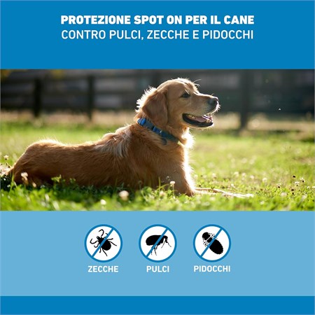 Frontline SPOT ON Taglia M 10-20 Kg - Antiparassitario per cane cani - 3 pipette in Cani