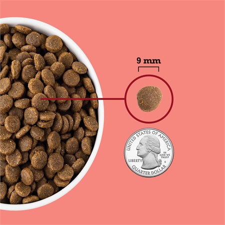 Acana Cat Indoor Highest Protein 1,8 kg Crocchette Gatti in Gatti