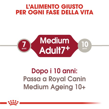 Royal Canin Medium Adult 7 + kg 15 in Cani