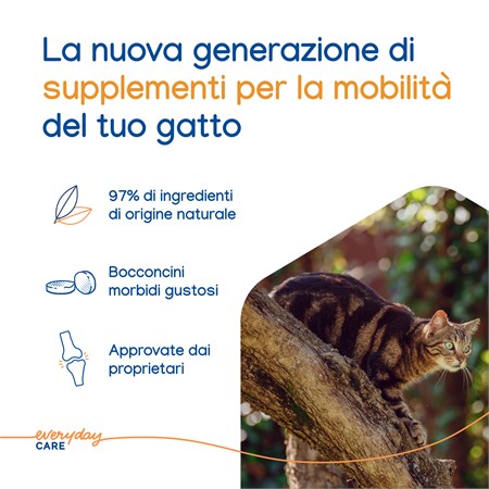 Virbac Movoflex Soft Chew 30 Compresse Masticabili Per Gatti in Gatti