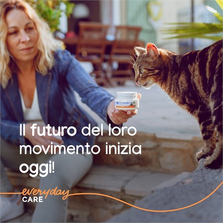 Virbac Movoflex Soft Chew 30 Compresse Masticabili Per Gatti in Gatti