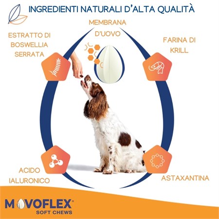 Virbac Movoflex Soft Chews Large 30 Compresse Per Cani in Cani