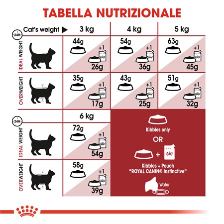 Royal Canin Fit 32 - 4 kg Gatto in Gatti
