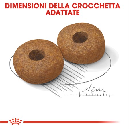 Royal Canin Medium Ageing 10 + kg 15 in Cani