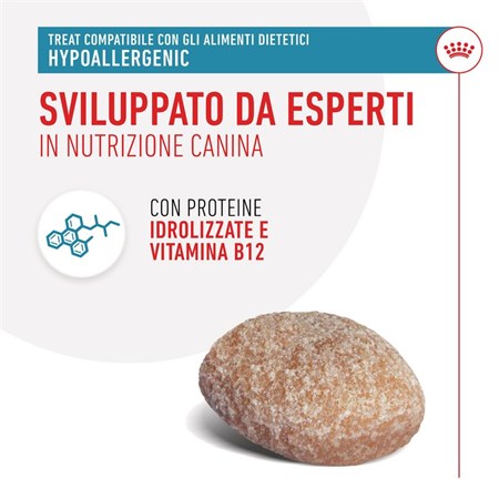 Royal Canin Treats Hypoallergenic 230 g Snack cane in Cani