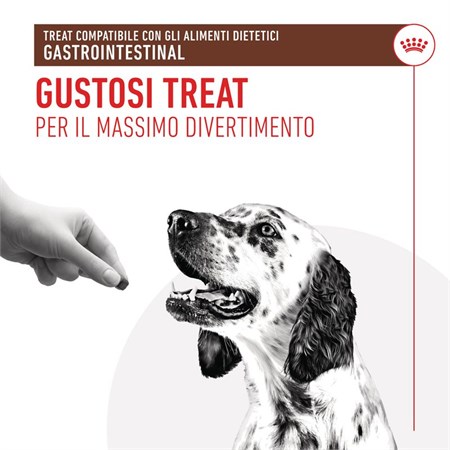 Royal Canin Treats GASTRO INTESTINAL 230 g Snack cane in Cani