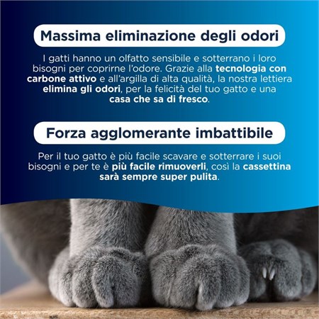 Lettiera Agglomerante Ever Clean Senior 6 lt Per Gatti Anziani in Gatti