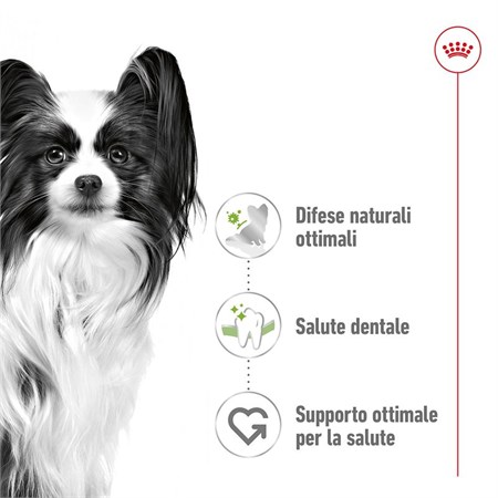 Royal Canin X Small Adult 1,5 kg per Cani Adulti in Cani
