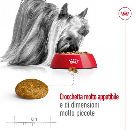 Royal Canin X Small Adult 1,5 kg per Cani Adulti in Cani