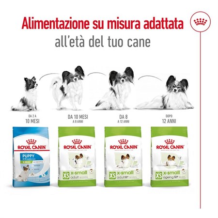 Royal Canin X Small Adult 1,5 kg per Cani Adulti in Cani