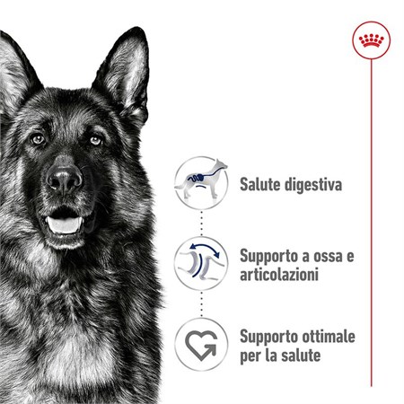 Royal Canin Maxi Adult 15 kg Secco Cane in Cani