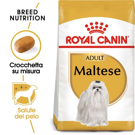 Royal Canin Maltese Adult 1,5 kg in Cani
