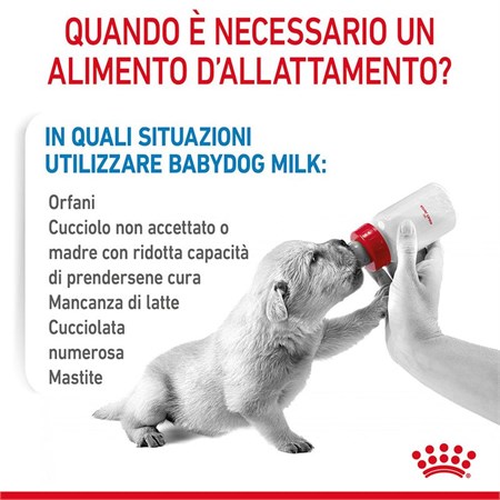 Royal Canin Babydog Milk 400 gr Latte in Polvere Per Cani in Cani