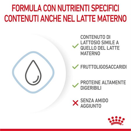 Royal Canin Babydog Milk 400 gr Latte in Polvere Per Cani in Cani