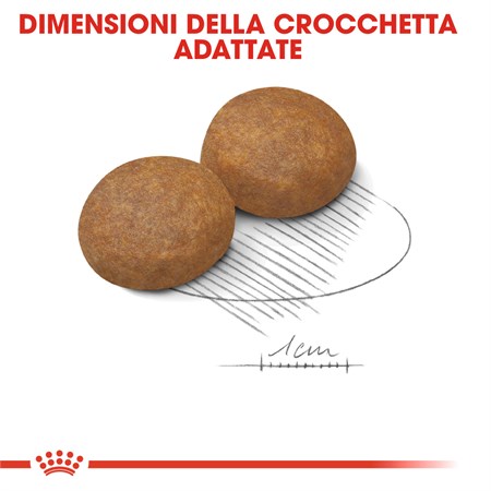 Royal Canin Maxi Adult 5 + kg 15 Secco Cane in Cani