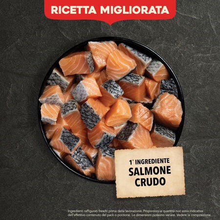 Acana Classics Wild Coast Dog 9,7 kg DANNEGGIATO in Cani