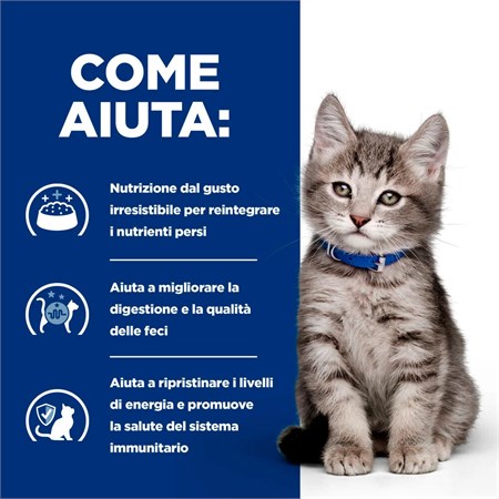 Hill's Diet i/d KITTEN Digestive Care 1,5 Kg Cibo Secco Gatto in Gatti