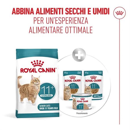 Royal Canin Senior Ageing Sterilised 11+ 2 Kg Per Gatti in Gatti