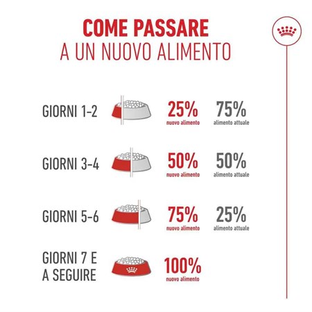 Royal Canin Senior Ageing Sterilised 11+ 2 Kg Per Gatti in Gatti