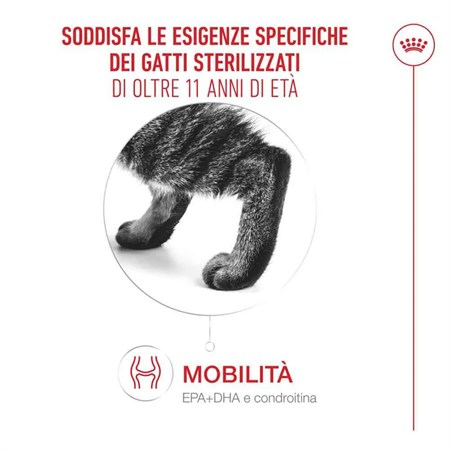 Royal Canin Senior Ageing Sterilised 11+ 2 Kg Per Gatti in Gatti