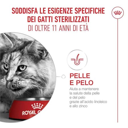 Royal Canin Senior Ageing Sterilised 11+ 400 gr Per Gatti in Gatti