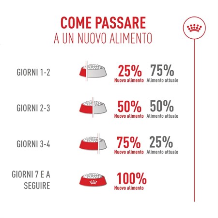 Royal Canin Fussy Exigent 2 Kg Crocchette Per Gatto in Gatti