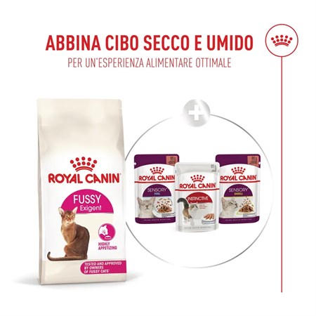 Royal Canin Fussy Exigent 2 Kg Crocchette Per Gatto in Gatti