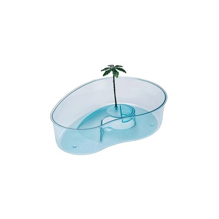 ARRICOT AZZURRA TARTARUGHIERA in Rettili