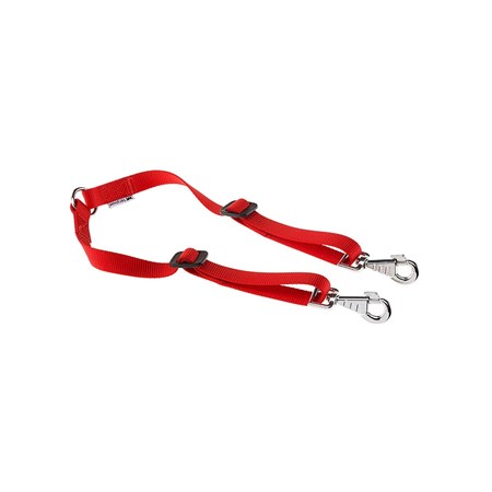 TWIN 10/36 TERMINALE in Cani