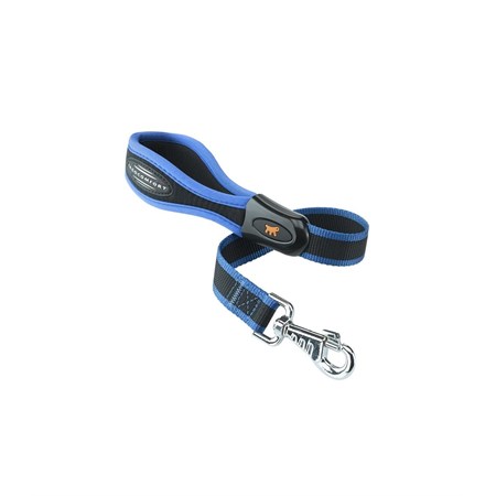 ERGOCOMFORT GM25/55  GUI in Cani