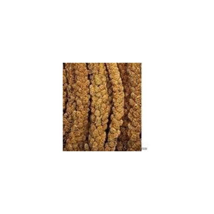 Ali Panico in Spighe 250 GR