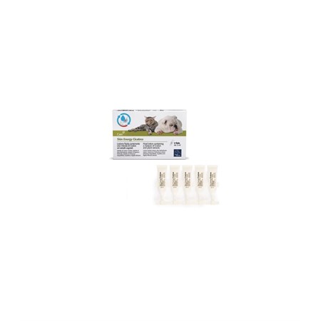 SKIN ENERGY CICATREX 5 FIALE X 3 ML in Cani