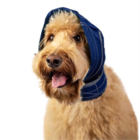 Recova No Flap Protect Supporto Protettivo per Orecchie in Cani