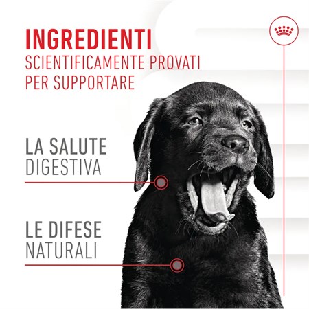 Royal Canin Immunity Digestion Puppy Chews Supplement 100 gr Snack cuccioli in Cani
