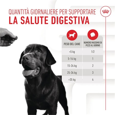 Royal Canin Digestion Adult Chews Supplement 160 gr Snack Per Cani in Cani