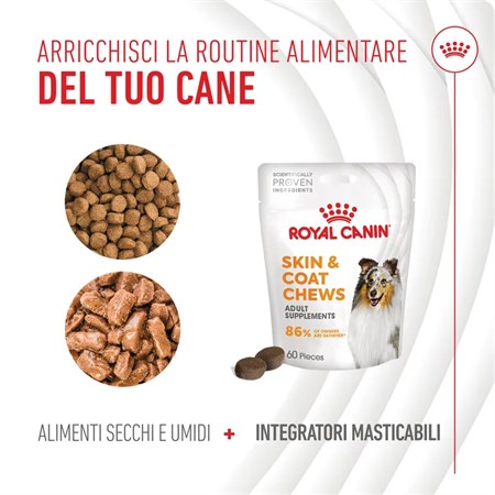 Royal Canin Skin Coat Chews Supplement 240 gr Snack Per Cani in Cani