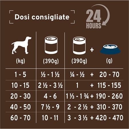 Forza 10 Active Intestinal Colon Agnello 390 Gr Barattolo Umido Per Cani in Cani