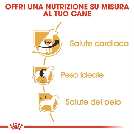 Royal Canin Cavalier King Charles Adult 1,5 kg per Cani in Cani