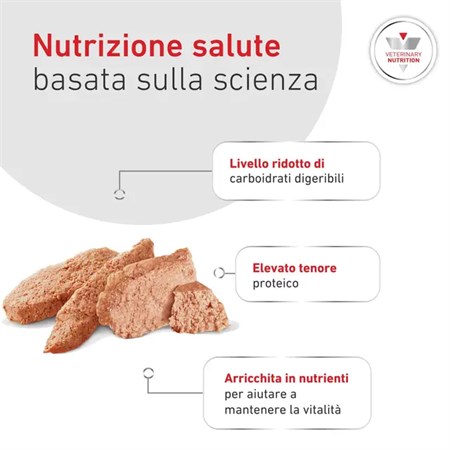 Royal Canin Glycobalance 410 Gr Patè Barattolo Umido Per Cani in Cani