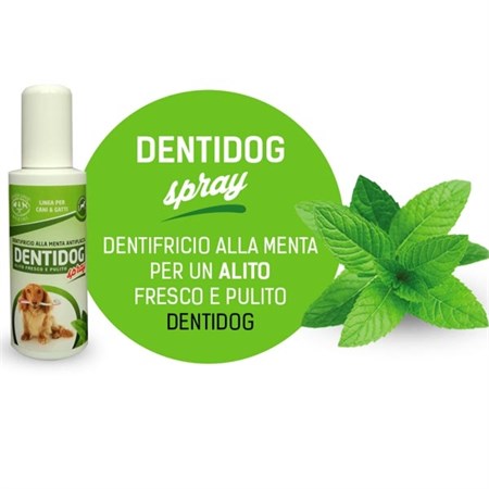 Dentifricio Spray in Cani