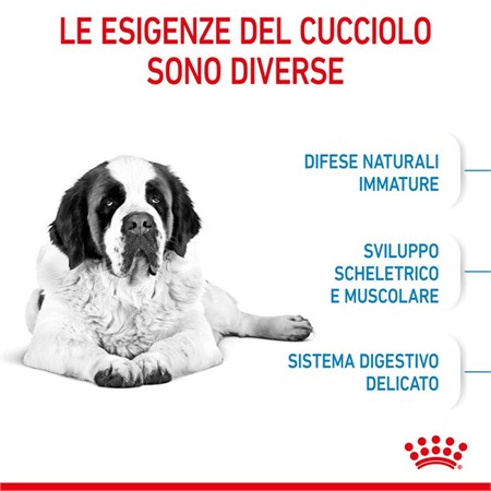Royal Canin Giant Junior kg 15 in Cani