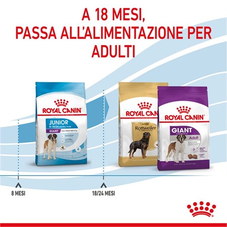 Royal Canin Giant Junior kg 15 in Cani